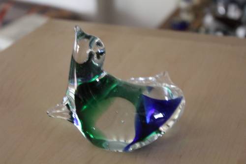 Beautiful Glass Sea Lion