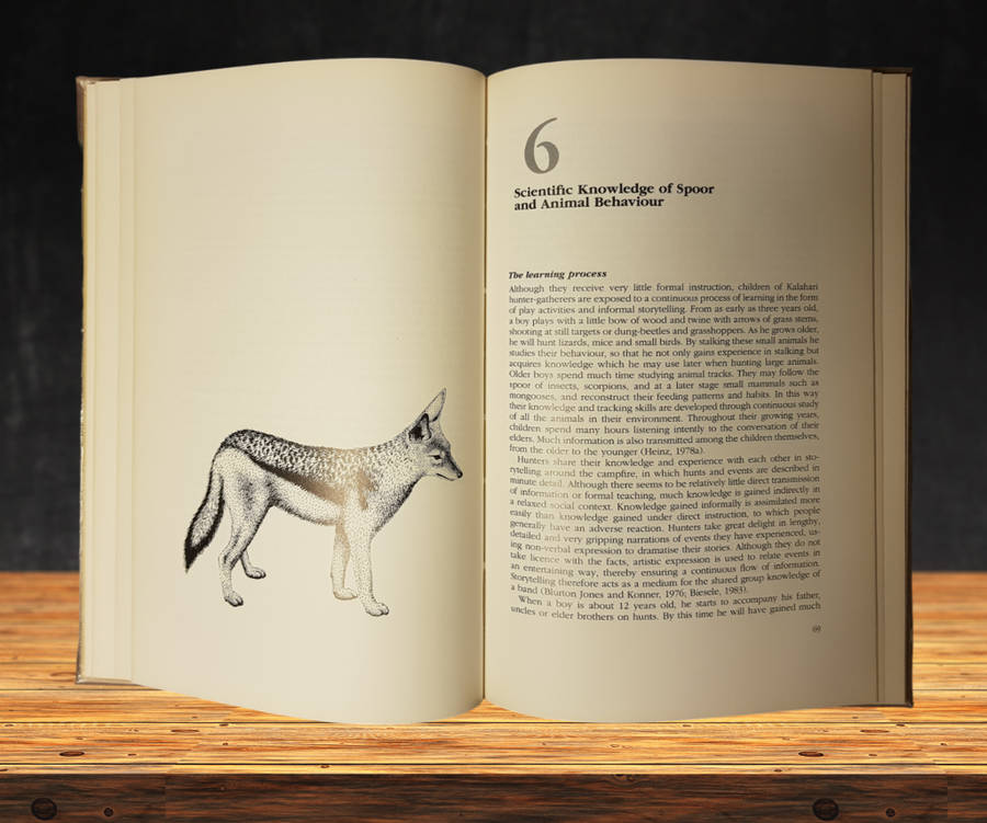 The Art of Tracking - The Origin of Science - First Edition