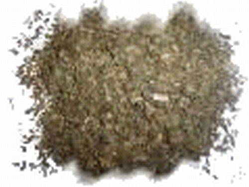 Magickal Herbs - Peppermint