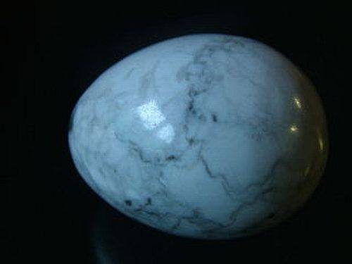 Howlite Egg  50 mm