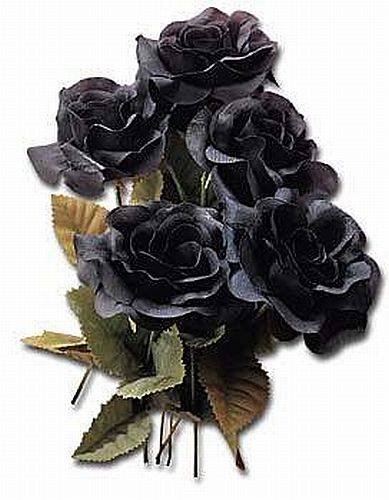 Black Rose by Alchemy Gothic