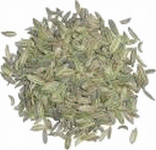 Magickal Herbs - Fennel Seeds