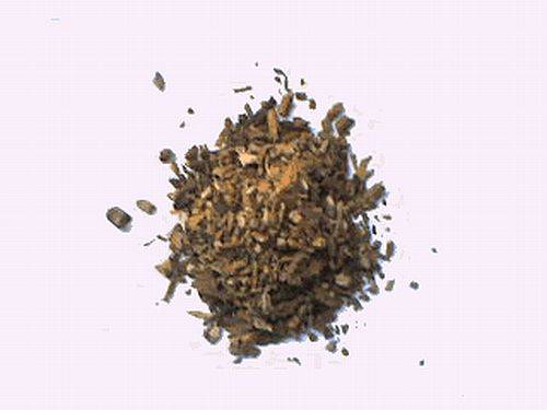 Magickal Herbs - Mistletoe