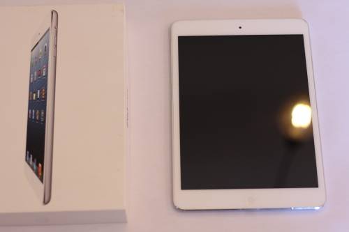 iPad Mini 1 16GB Wifi