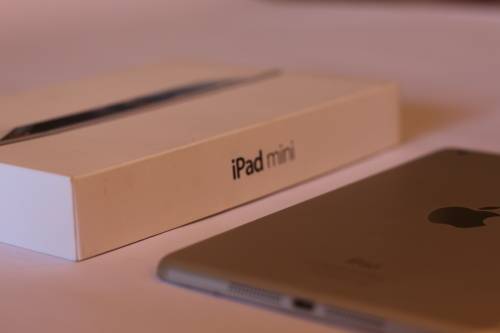 iPad Mini 1 16GB Wifi