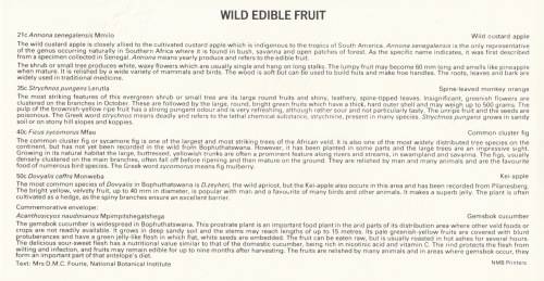 BOP 1991-01-24 Edible Wild Fruit FDC 2.22 (31 000) [SACC R10]