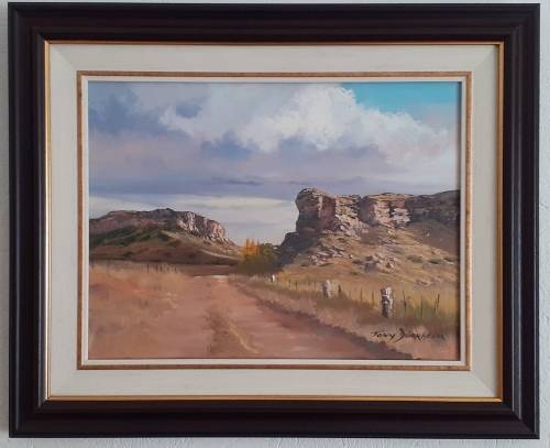 TONY DURRHEIM - Sandstone Cliffs