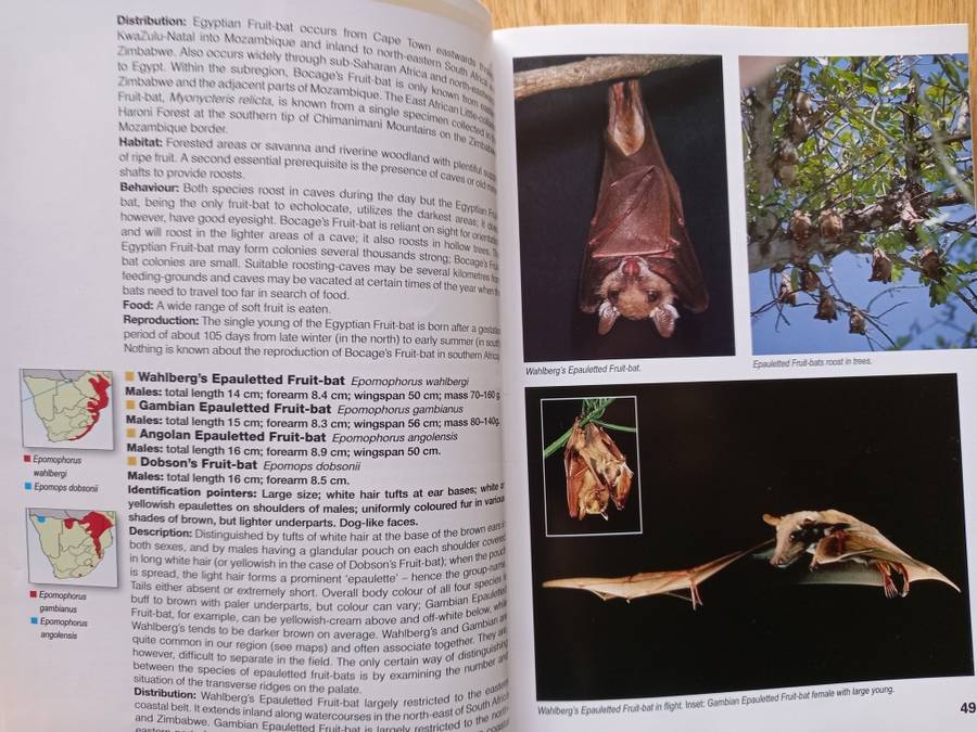 Field Guide to Mammals of southern Africa by Chris & Tilde Stuart
