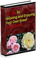401 TIPS FOR GROWING AND ENJOYING YOUR OWN ROSE GARDEN