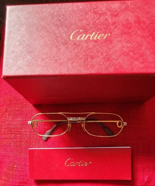 Must de Cartier Vintage 1983 Sunglass Frames