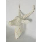 White buck head
