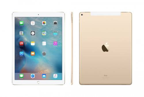 iPad Pro | 12.9" | WiFi + Cellular | 128GB | Gold | Free Shipping