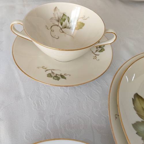 German Dinner Set - 77 pieces