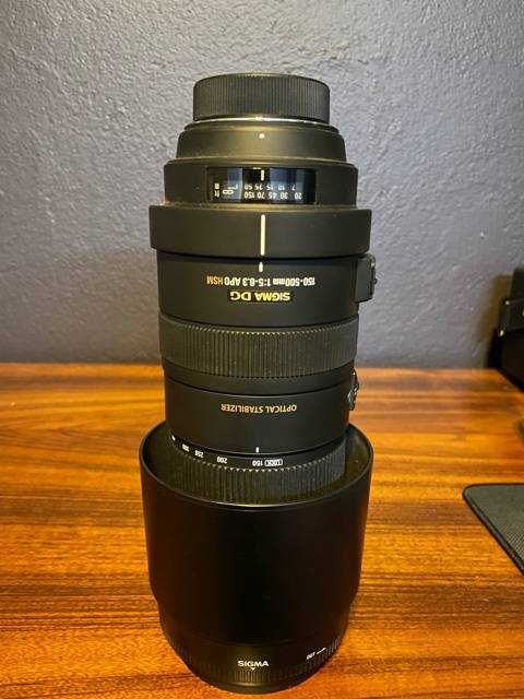 Sigma DG 150-500 APO HSM Nikon fit