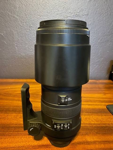Sigma DG 150-500 APO HSM Nikon fit
