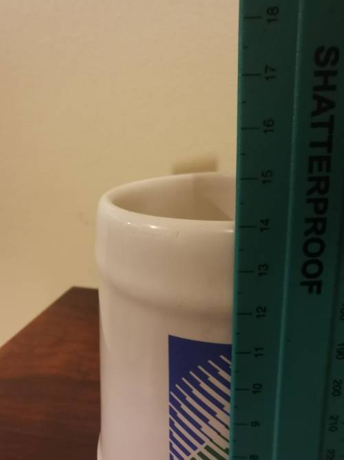1995 Rugby World Cup Beer Mug