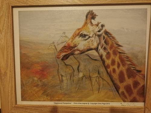 3x Stunning Wild Life Portraits 38cmx48cm