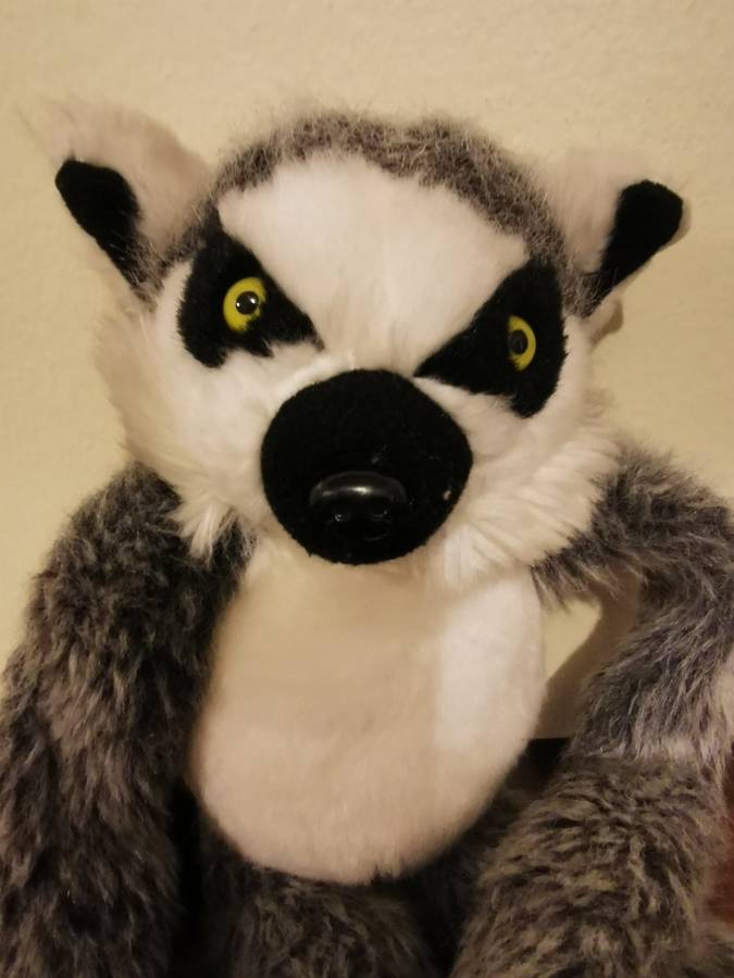 A Lemur by: Africa`s Legends - Perfect Condition!