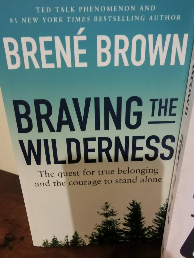 Brene Brown Book Collection - Exceptional Find!