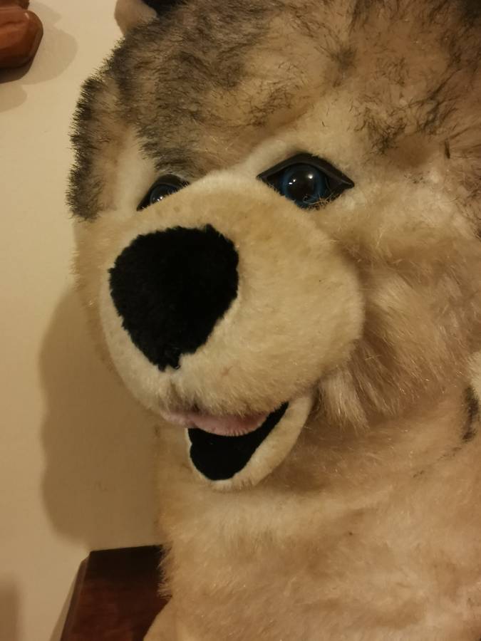 Large Husky Soft Toy 47cm tall