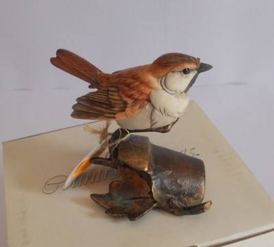 House Sparrow Flying - Country Artists