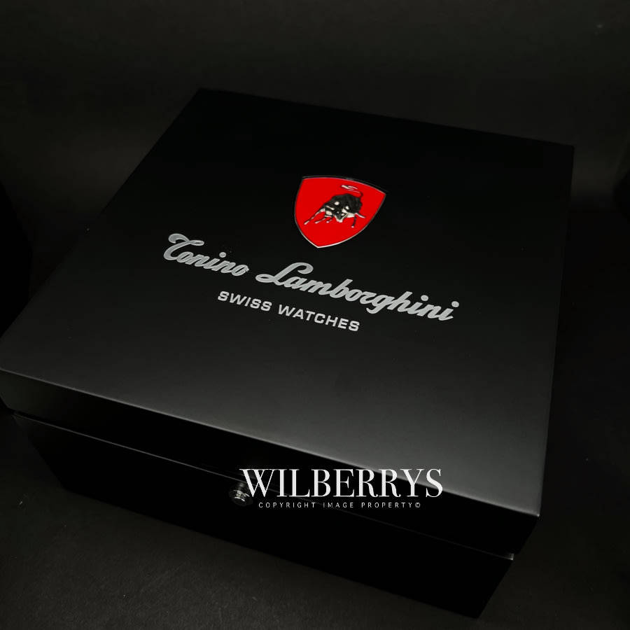 Tonino Lamborghini Women's Spyder Rose Gold / Brown Chronograph Watch