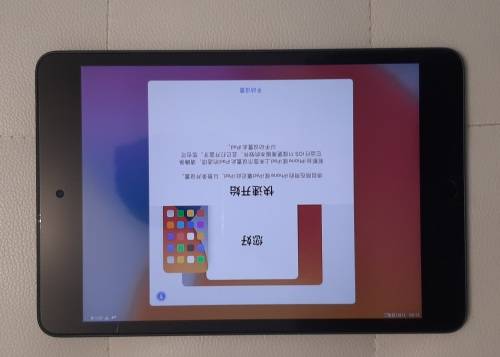 Apple iPad Mini 5th gen (A2124) Wi-Fi+Cell Global , 256 GB