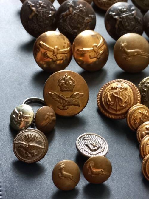 Large Collection of different military buttons