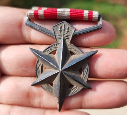 SAP (SOUTH AFRICAN POLICE) 1984 MEDAL FOR COMBATTING TERRORISM