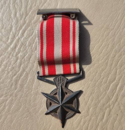 SAP (SOUTH AFRICAN POLICE) 1984 MEDAL FOR COMBATTING TERRORISM
