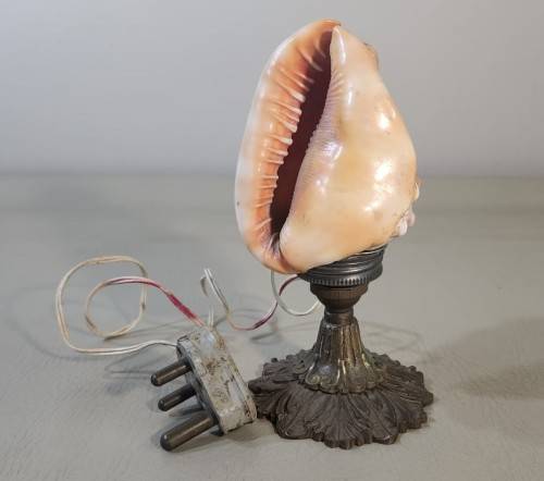 RED CASSIS RUFA BULLMOUTH HELMET SHELL NIGHTTIME TABLE LIGHT