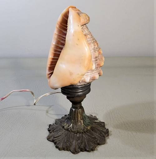 RED CASSIS RUFA BULLMOUTH HELMET SHELL NIGHTTIME TABLE LIGHT