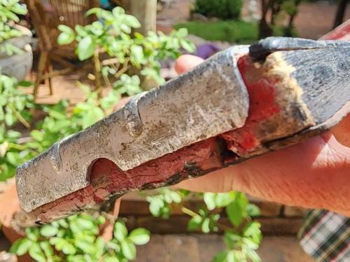 EYECATCHING FISCHER AUSTRIAN 1970S WOODEN SKIS 1,8M LONG WITH TYROLIA SKIMEISTER BINDINGS