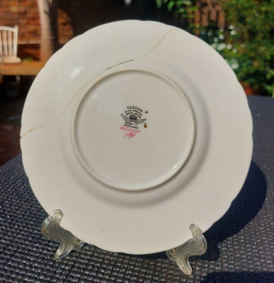 VINTAGE 1950S TUSCAN FINE ENGLISH BONE CHINA WINDSWEPT PATTERN 18 PIECE TEASET