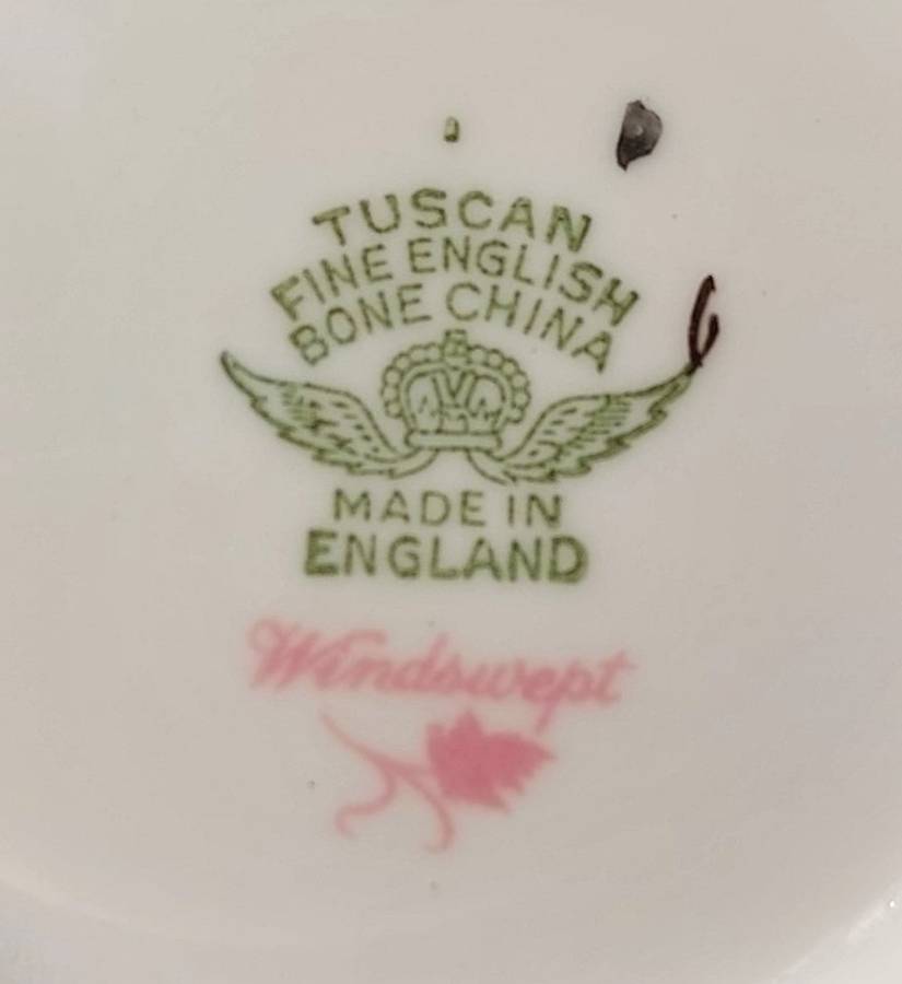 VINTAGE 1950S TUSCAN FINE ENGLISH BONE CHINA WINDSWEPT PATTERN 18 PIECE TEASET