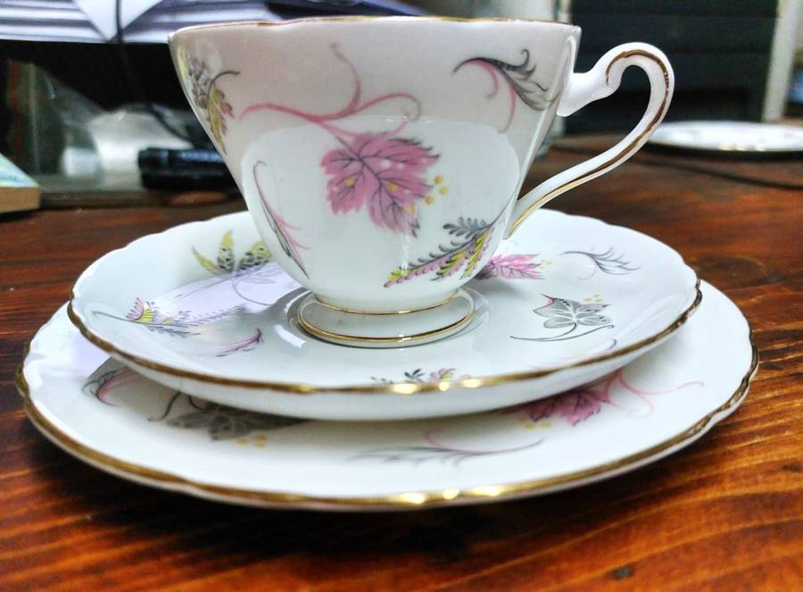 VINTAGE 1950S TUSCAN FINE ENGLISH BONE CHINA WINDSWEPT PATTERN 18 PIECE TEASET