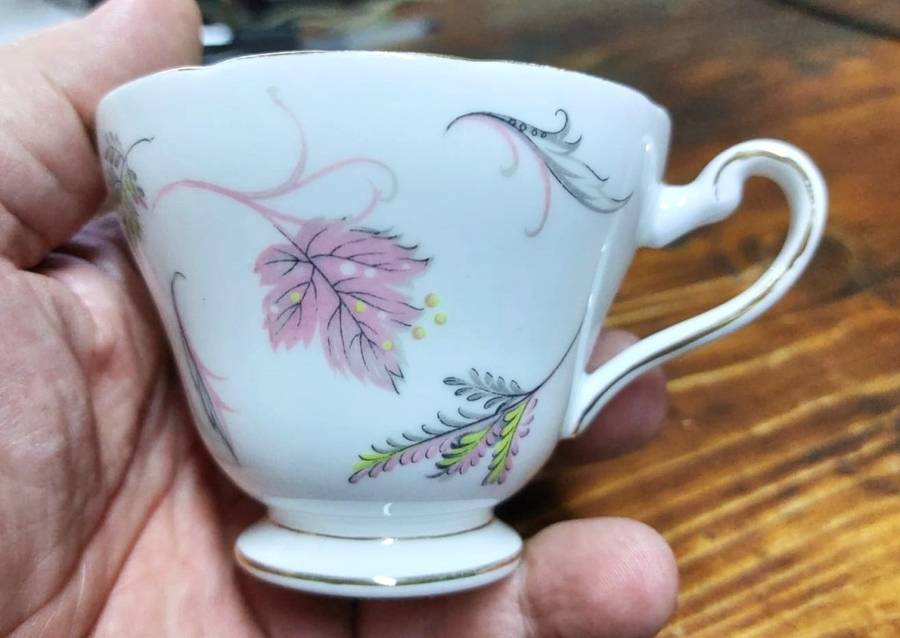 VINTAGE 1950S TUSCAN FINE ENGLISH BONE CHINA WINDSWEPT PATTERN 18 PIECE TEASET