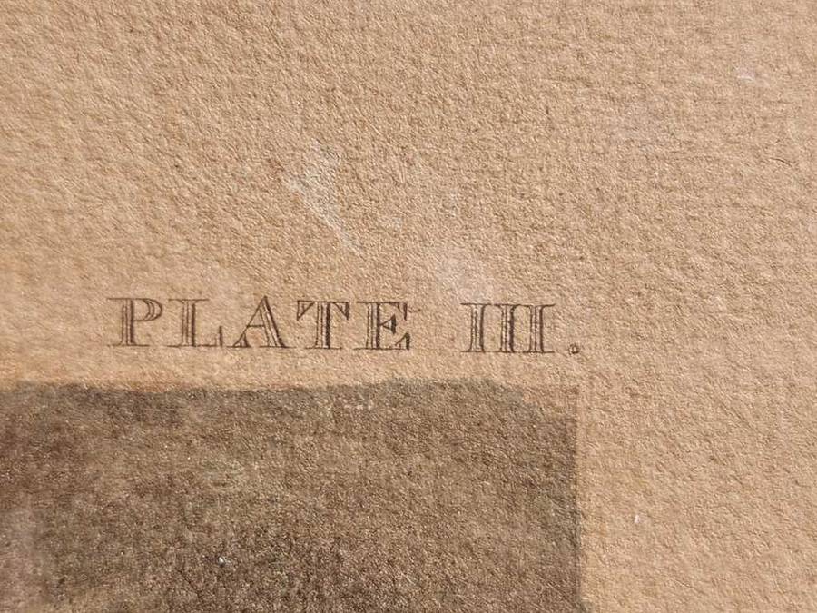 Plate III First Steeple-Chase On Record 1839 Very Rare Original Coloured Aquatint Henry Alken