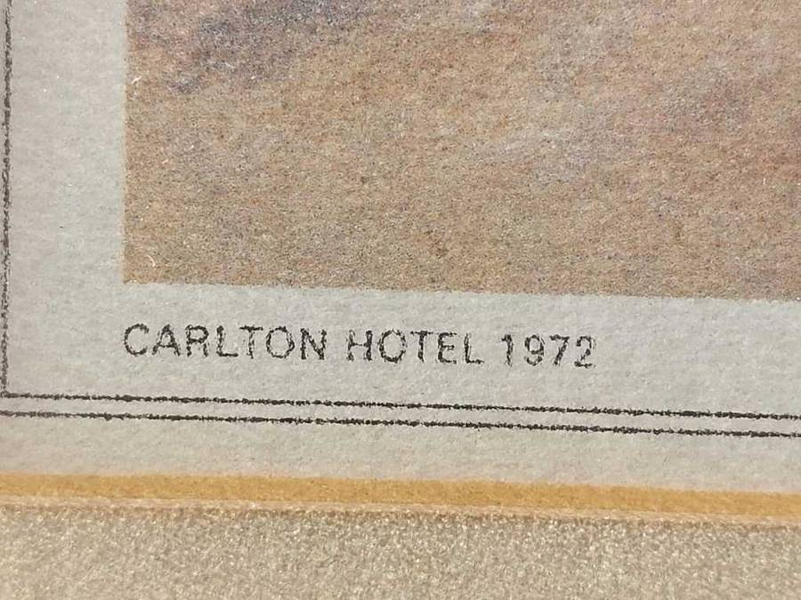 Wonderful Historical Thomas Baines (1820-1875) Buffalo Weaver Print Carlton Hotel 1972 Africana Muse
