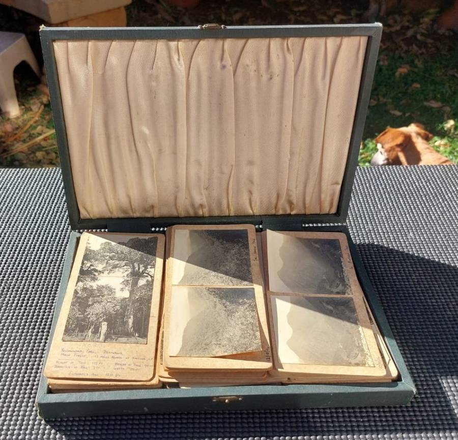 Carte de Visite 76 Old Photos from 1930s in an Old Cutlery Box