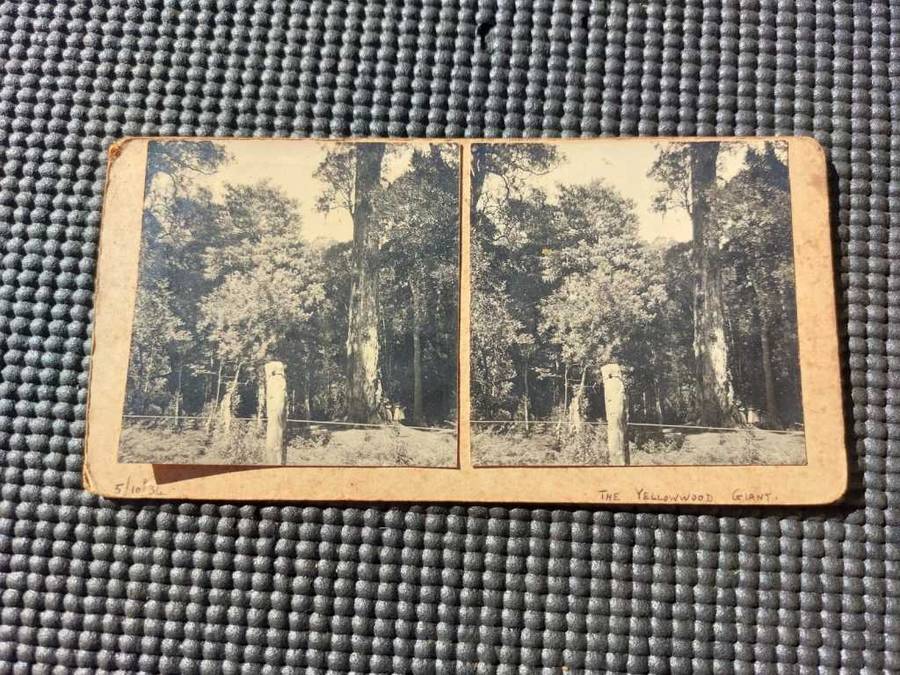Carte de Visite 76 Old Photos from 1930s in an Old Cutlery Box