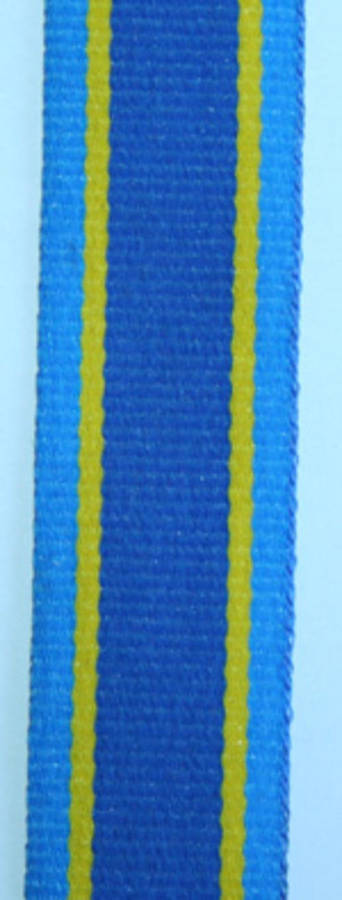 SAP 75th Anniversary Medal Miniature Ribbon