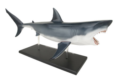 ANIMAL ANATOMY SHARK EDUCATIONAL TOYS GAMES KIDS GADGETS CHRISTMAS GIFTS