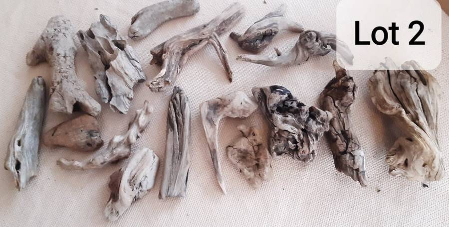 Driftwood Lot 2