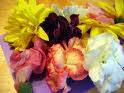 Edible Flower Mix 50 +Seeds FB