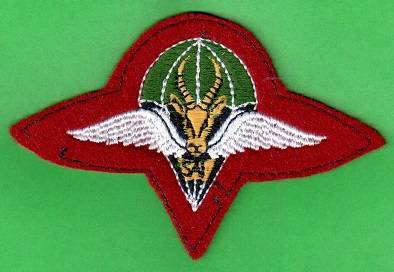 1 Parachute battalion beret badge
