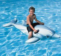 intex ride on dolphin