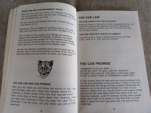 Fun In Cubbing - A Handbook for Nine Year-Old Cubs