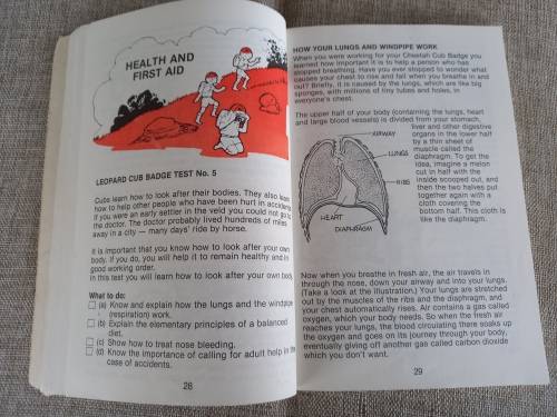 Fun In Cubbing - A Handbook for Nine Year-Old Cubs