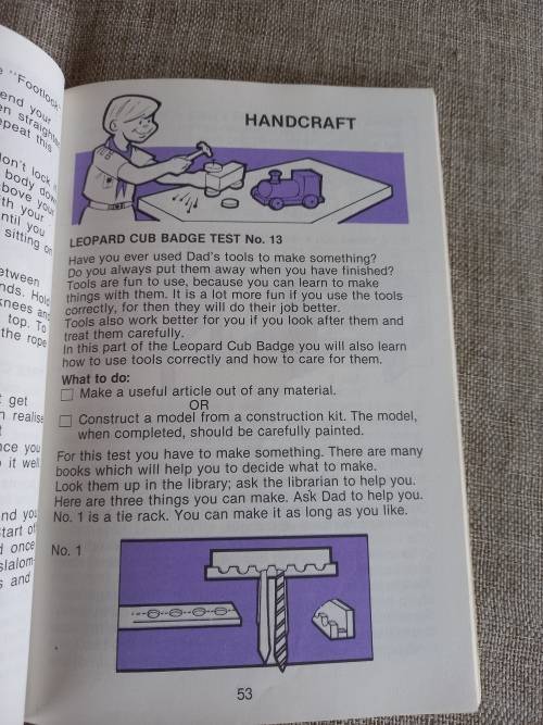 Fun In Cubbing - A Handbook for Nine Year-Old Cubs